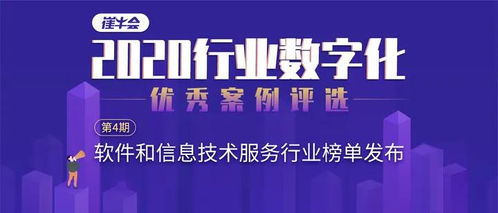 榜單 軟件和信息技術(shù)服務(wù)行業(yè)最佳案例